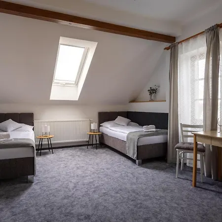 塔西耐尔旅馆 3* 利托米什尔