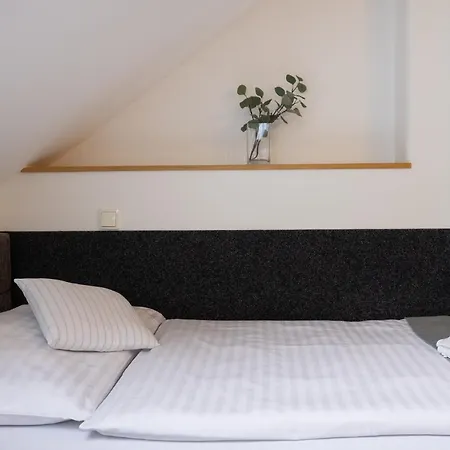 塔西耐尔旅馆 招待所 3*